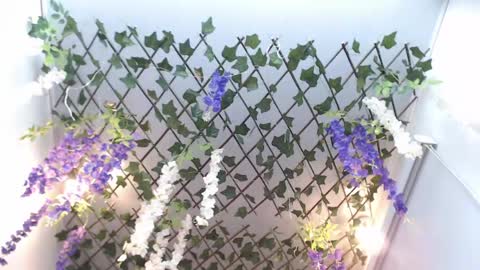 Risitos De Oro online show from 04-19-26, 10:12