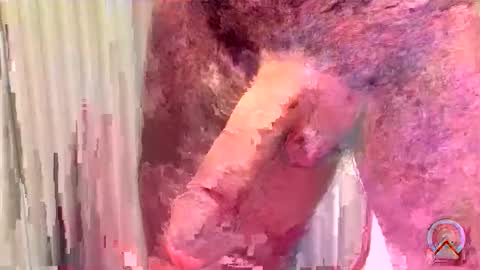 ritto44 online show from 05-16-26, 12:29