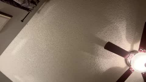 BwC4Breed online show from 01-21-25, 11:35