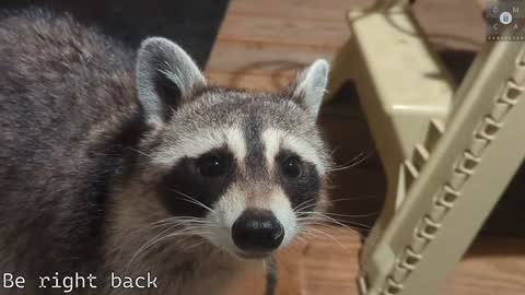 Ryan aka KeylimeRy online show from 02-05-25, 05:53