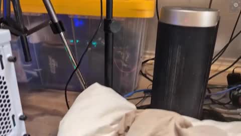 Ryan aka KeylimeRy online show from 03-11-25, 09:02