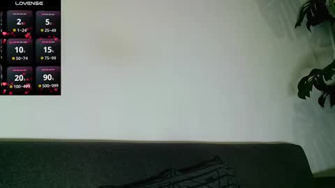 SebasRoa online show from 11-28-25, 02:31