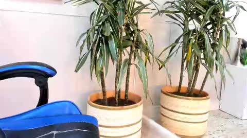 Roan Birkin online show from 07-17-26, 07:19