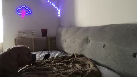 Snapshot of roastingcorn chatting on 01-03-25, 10:29 RoastingCorn online show from 01-03-25, 10:29