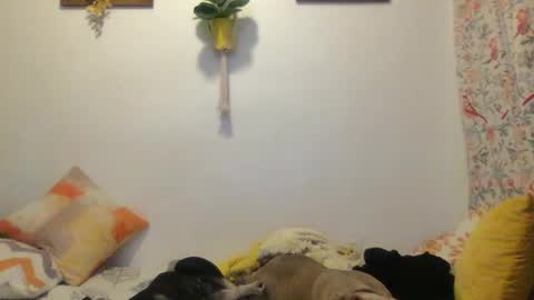 Snapshot of roastingcorn chatting on 03-11-25, 03:59 RoastingCorn online show from 03-11-25, 03:59