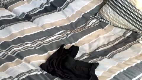 Snapshot of rob616580 chatting on 01-13-26, 10:53 rob616580 online show from 01-13-26, 10:53