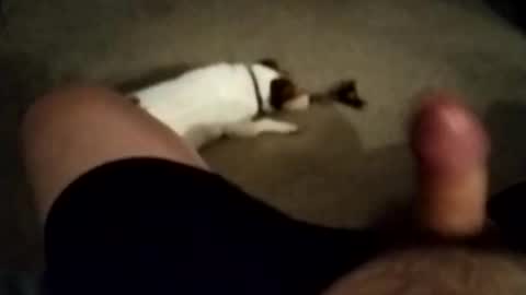 Snapshot of robbiebob6828 chatting on 11-27-25, 06:04 robbiebob6828 online show from 11-27-25, 06:04