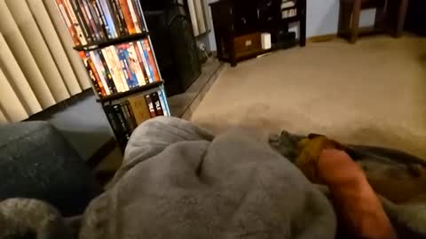 Snapshot of robbiebob6828 chatting on 03-02-26, 04:14 robbiebob6828 online show from 03-02-26, 04:14