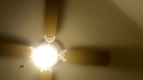 Snapshot of robertsaiz4200 chatting on 12-20-25, 08:49 robertsaiz4200 online show from 12-20-25, 08:49