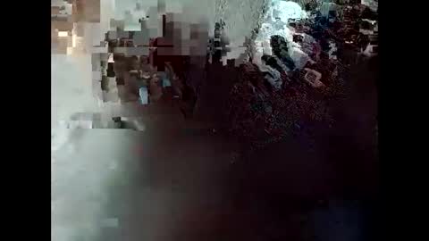 R online show from 04-30-26, 11:42