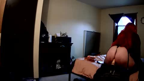 RobinHEAD online show from 02-18-26, 05:53