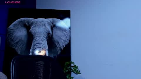 rocco_santos online show from 09-23-25, 10:02