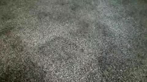 Snapshot of rokard121 chatting on 03-04-25, 04:41 rokard121 online show from 03-04-25, 04:41