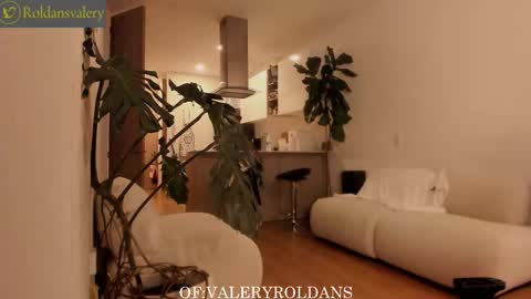 Valery Roldans online show from 01-15-26, 02:27