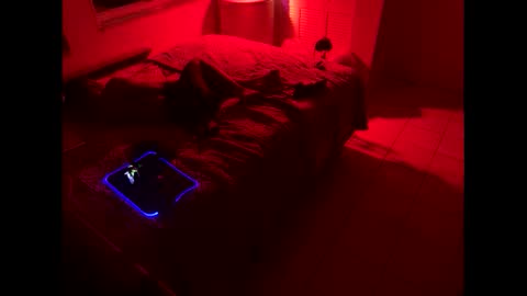 romeotyn online show from 02-21-25, 03:01