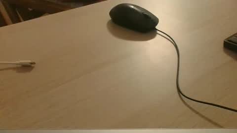 Snapshot of roridory chatting on 11-07-25, 09:04 roridory online show from 11-07-25, 09:04