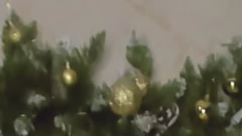 Chloe online show from 12-27-24, 10:05