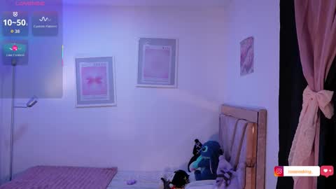 Snapshot of rosannaking chatting on 12-23-25, 12:08 Aleja online show from 12-23-25, 12:08