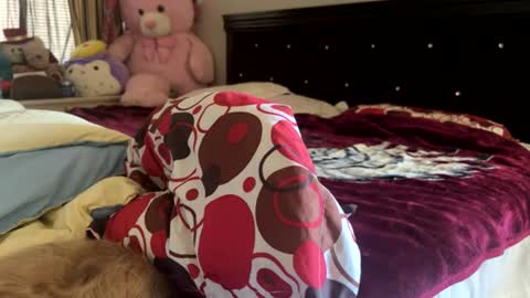 Rose and Jacks Pay Room online show from 07-30-26, 07:13