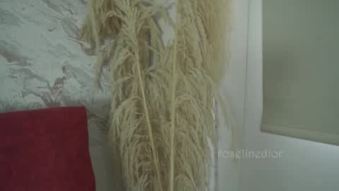 Snapshot of roselinedior chatting on 12-01-25, 01:38 Lyla OF roselinedior online show from 12-01-25, 01:38