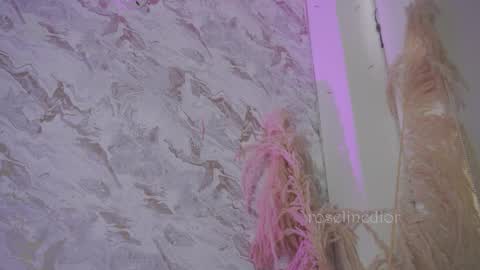 Snapshot of roselinedior chatting on 12-02-25, 01:17 Lyla OF roselinedior online show from 12-02-25, 01:17