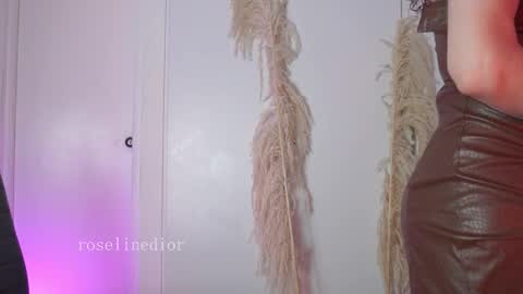 Snapshot of roselinedior chatting on 01-13-26, 02:22 Lyla OF roselinedior online show from 01-13-26, 02:22