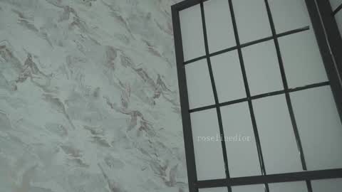 Snapshot of roselinedior chatting on 03-13-26, 01:29 Lyla OF roselinedior online show from 03-13-26, 01:29