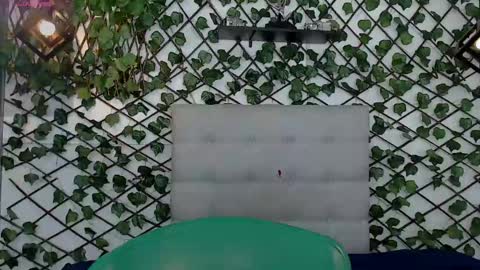 Rous online show from 02-08-25, 09:35