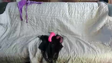 roxaneramirez online show from 05-04-26, 05:58
