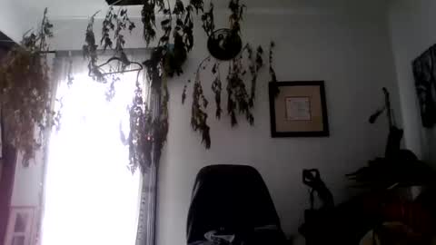 Snapshot of royboy2561 chatting on 10-10-25, 08:08 Roy Murrin online show from 10-10-25, 08:08