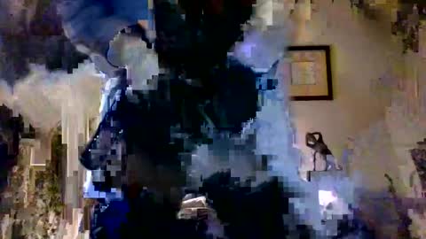 Snapshot of royboy2561 chatting on 10-12-25, 07:18 Roy Murrin online show from 10-12-25, 07:18