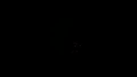 Snapshot of royce888 chatting on 11-16-25, 05:24 royce888 online show from 11-16-25, 05:24