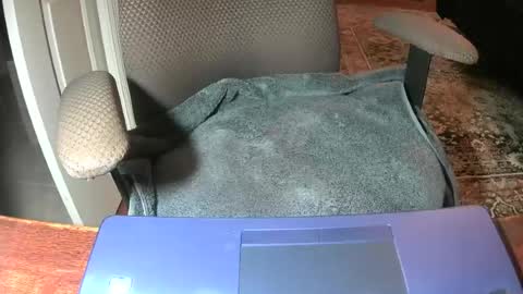 Lookingaround online show from 06-22-26, 08:55