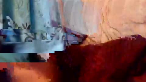 Snapshot of rpauldj chatting on 11-08-25, 10:41 rpauldj online show from 11-08-25, 10:41