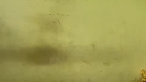 Snapshot of rupali01 chatting on 12-20-25, 04:19 Rupali online show from 12-20-25, 04:19