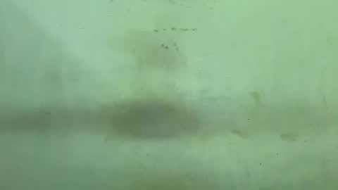 Snapshot of rupali01 chatting on 12-21-25, 04:47 Rupali online show from 12-21-25, 04:47