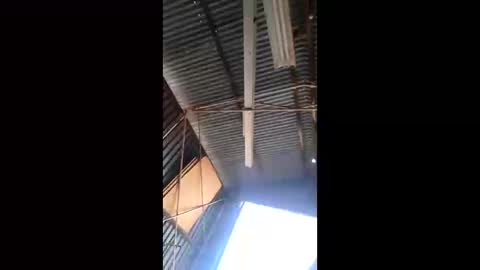 Snapshot of rustynuts95716 chatting on 03-10-26, 01:54 rustynuts95716 online show from 03-10-26, 01:54