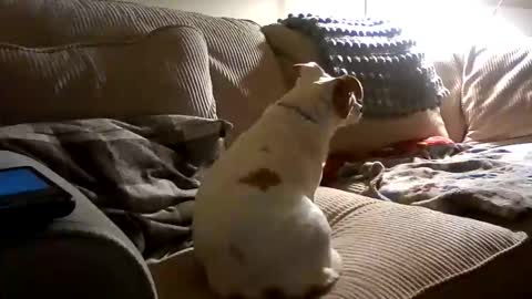 Rusty online show from 10-18-25, 02:25