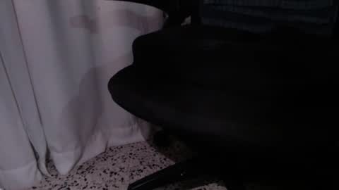 Snapshot of rx7900xtx chatting on 12-04-25, 03:27 rx7900xtx online show from 12-04-25, 03:27