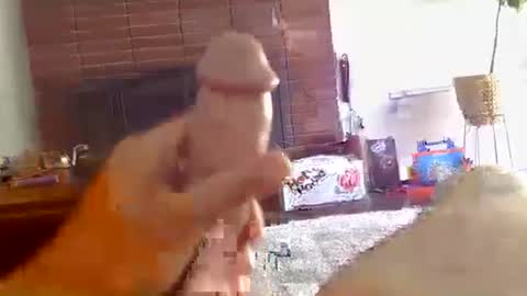 ryanbobby88 online show from 10-16-25, 09:27