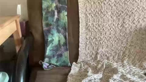 s3xkittenn online show from 04-20-26, 06:42