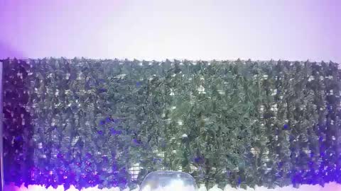 Snapshot of sabinamerchetti_ chatting on 03-17-26, 12:26 Sabina Merchetti online show from 03-17-26, 12:26