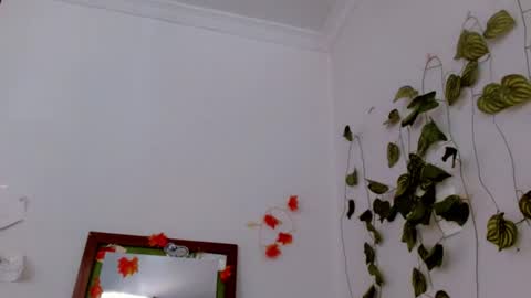 Snapshot of sabrinaexpositoxx chatting on 06-17-26, 04:41 SABRI online show from 06-17-26, 04:41