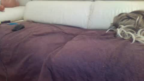 Snapshot of sabrinatravsexy chatting on 06-27-26, 07:41 sabrinatravsexy online show from 06-27-26, 07:41