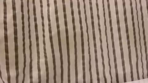 Snapshot of sacalaschichiss chatting on 10-29-25, 01:13 Dee online show from 10-29-25, 01:13