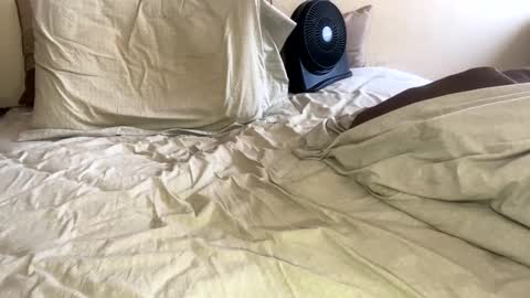 R online show from 01-26-25, 09:18