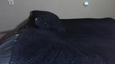 Snapshot of sademoface chatting on 02-17-25, 10:47 pluto online show from 02-17-25, 10:47