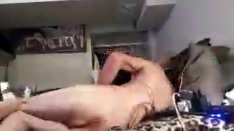 sadshadowdood online show from 06-17-26, 11:27