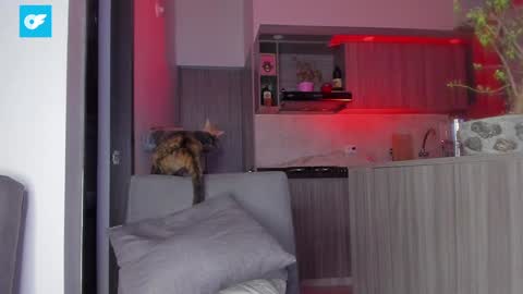 Snapshot of sag_1998 chatting on 01-21-25, 01:50 Sag online show from 01-21-25, 01:50