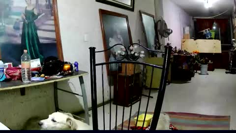 ruby  chocoholic cakeholic coffeeholic cookieholic online show from 11-18-25, 12:16